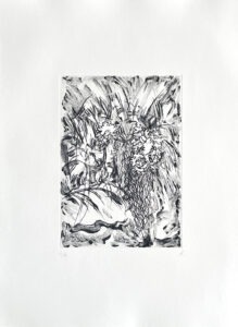 Les serres du Jardin des Plantes
Carborendum et Point, sèche sur papier Fabriano, 285 g
Orchidées n1
40 par 30 cm