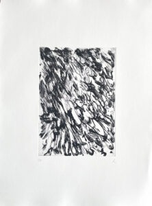 Les serres du Jardin des Plantes
Carborendum et Point, sèche sur papier Fabriano, 285 g
Orchidées n3
40 par 30 cm