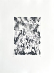 Les serres du Jardin des Plantes
Carborendum et Point, sèche sur papier Fabriano, 285 g
Orchidées n5
40 par 30 cm