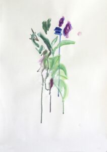 Les orchidées du Jardin des plantes n°2