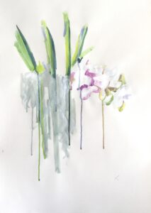 Les orchidées du Jardin des plantes n°3