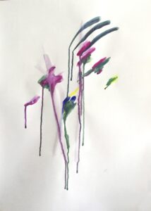 Les orchidées du Jardin des plantes n°4