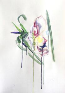 Les orchidées du Jardin des plantes n°5