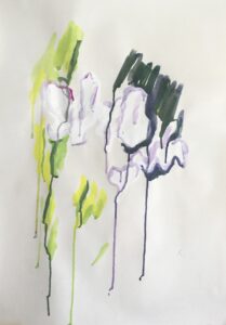 Les orchidées du Jardin des plantes n°7