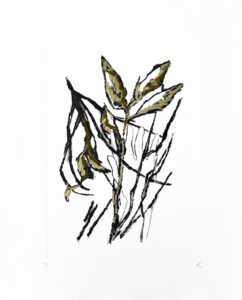 Noli me tangere-2025