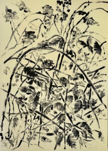 70x50-La ou il y avait des ronces, version2-Monotype aux encres de gravure-Papier Fabriano ivoire-2026-Rafaele Ide