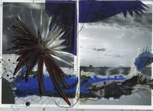 Reverdy Coup d'aile im4 et 5 Recto site