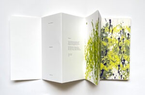 Sensation 1 pages